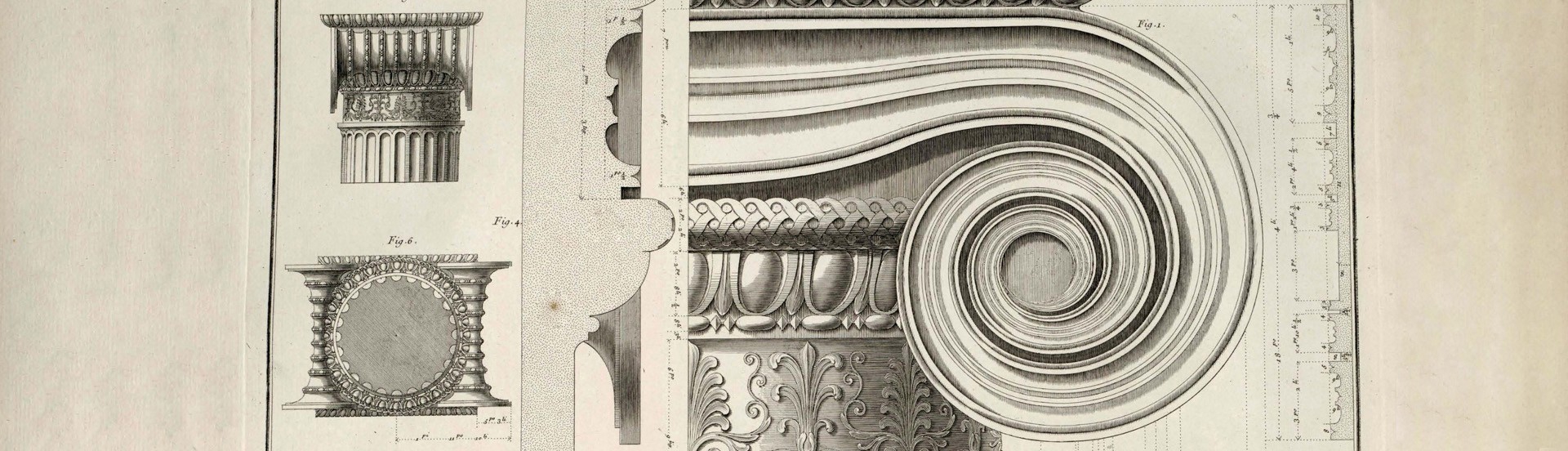 Column capital of the Ionic order from the Erechtheion. D. le Roy, <i>Les ruines des plus beaux monuments de la Gr&egrave;ce</i> (1758), pl. XXX.