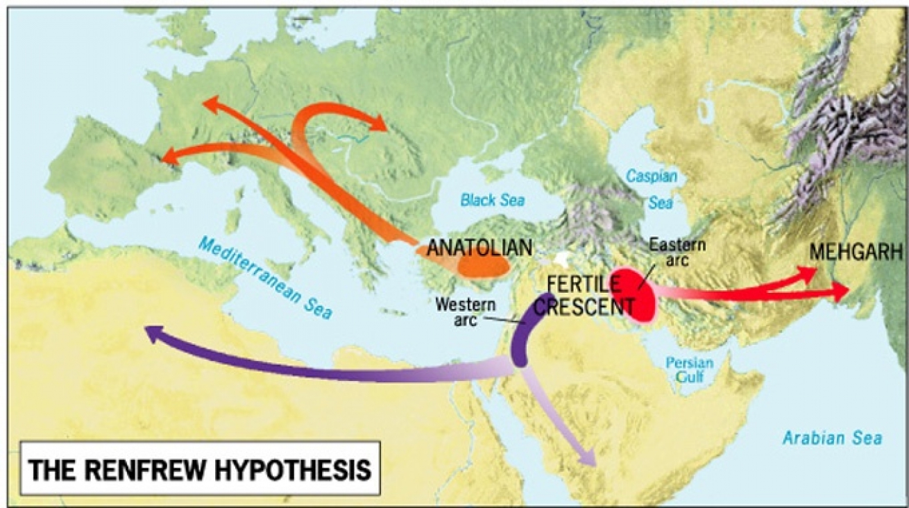 Colin Renfrew's theory on the dispersion of Indo-European languages.
